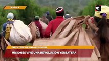 Karen Fiege destacó las buenas noticias que recibió la producción de yerba mate en la última semana