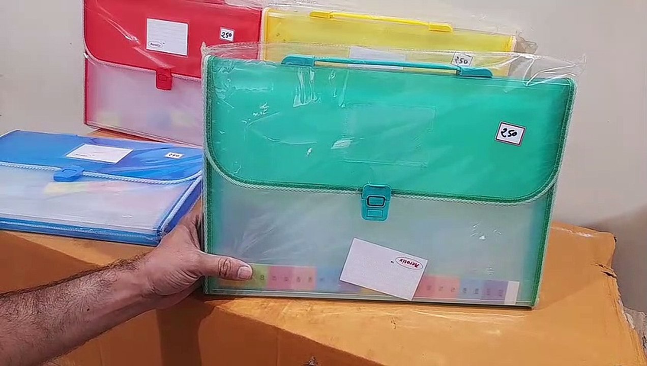 Unboxing and Review of Plastic Expanding Visa File Folder harmonium file