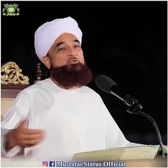بہترین اسلامی سٹیٹس علامہ ثاقب مصطفائی صاحب