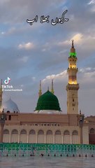 بہترین اسلامی سٹیٹس لازمی دیکھیں