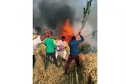 Video: खेत में लगी भीषण आग तो, खुद बुछाने पहुंच गए बीजेपी विधायक, वीडियो वायरल