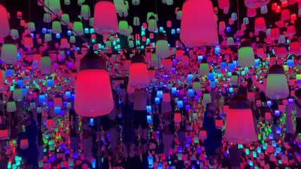 teamLab Borderless Tokyo coming to Hamburg (Pt. 2)