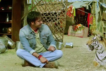 Best Action & Dhamal Hindi Movies | Full Romantic & Exciting Films 🎬