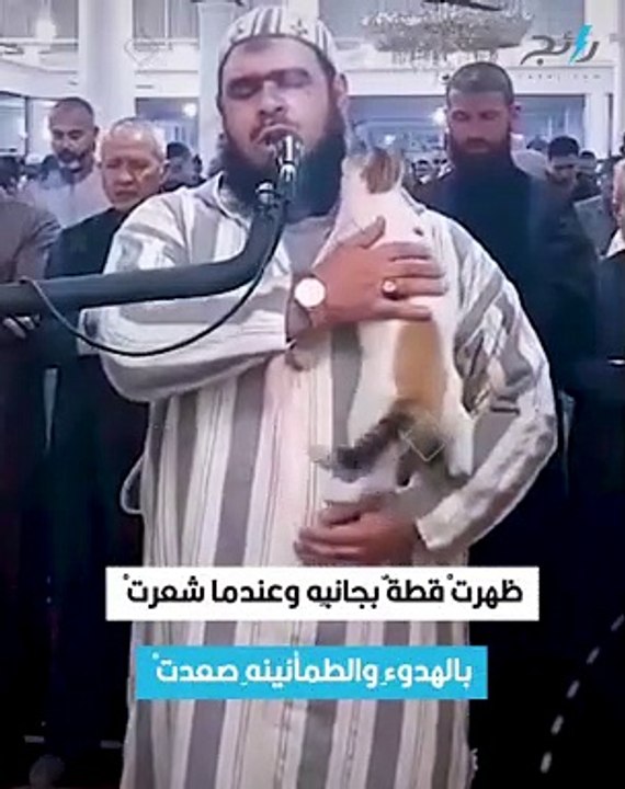 قطة تقبل الإمام أثناء الصلاة وأخرى تحزن لفراق ص...