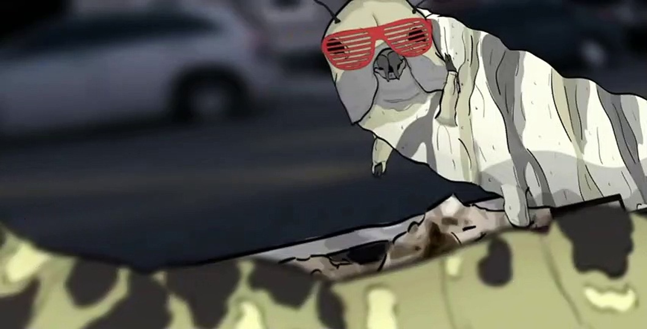 Animals. Animals. E002 Pigeons. (1)