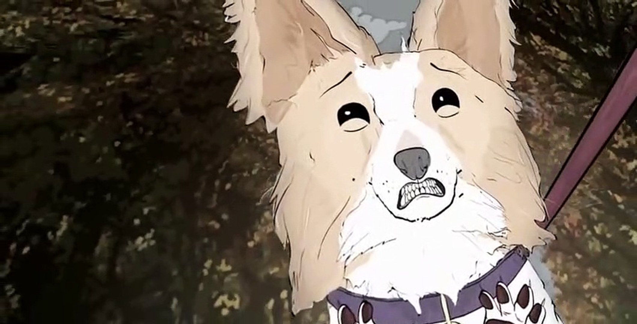 Animals. Animals. E004 Dogs.