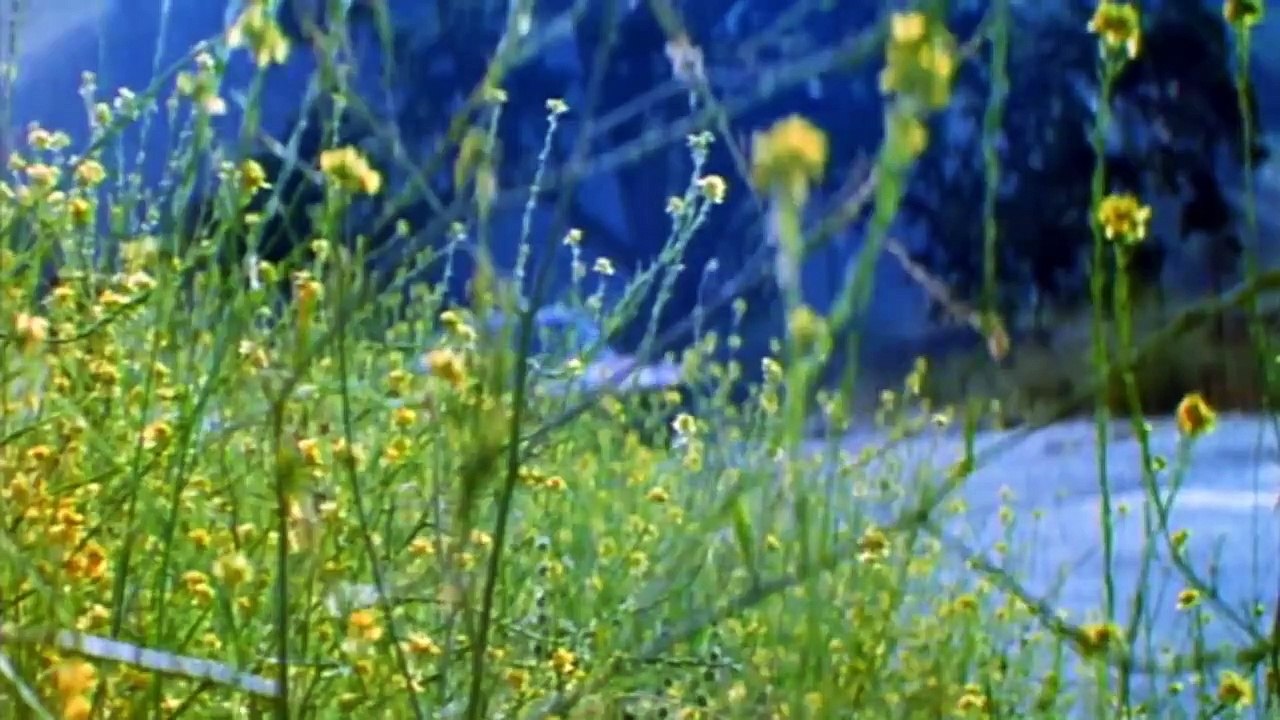 Hi-Riders Bande-annonce (EN)