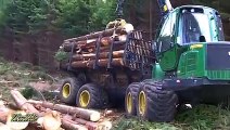 Dangerous Fastest Chainsaw Cutting Tree Machines Big Felling Tree Heavy Equipment Machine_v240P