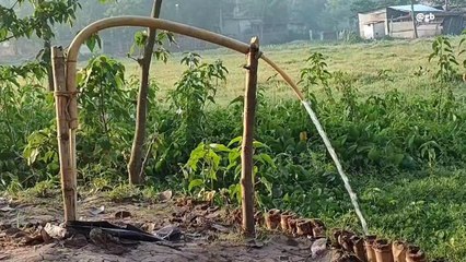 দঃদিনাজপুরঃ বালুরঘাট পুরসভার এ কেমন উদাসীনতা ? দেখুন ভিডিও