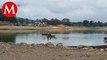 La presa Villa Victoria pone al descubierto descargas residuales