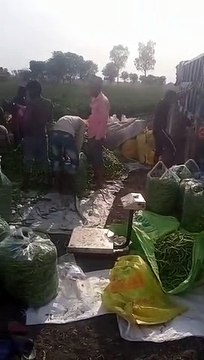 Mirchi is adding spice to the lives of youth, trying their luck on farming