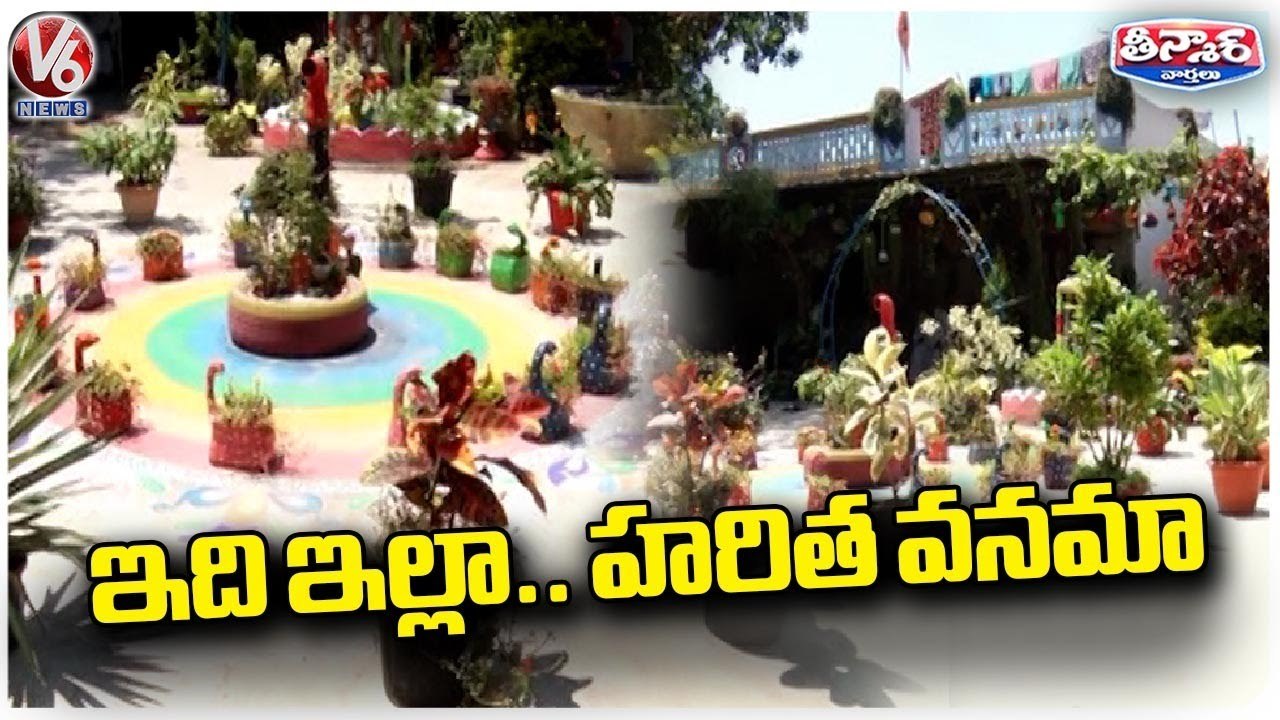 Sarpanch In Nizamabad Decorated His House With 600 Varieties Of Plants | V6 Weekend Teenmaar