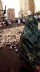 Mecca Merpati di Tanah Haram, Misfalah Makkah Al Mukarramah