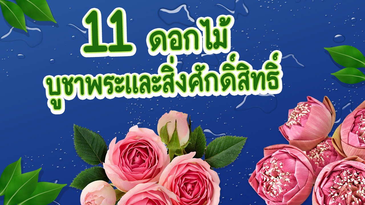 11 ดอกไม้บูชาพระและสิ่งศักดิ์สิทธิ์ ใช้ไหว้ขอพรเสริมสิริมงคล