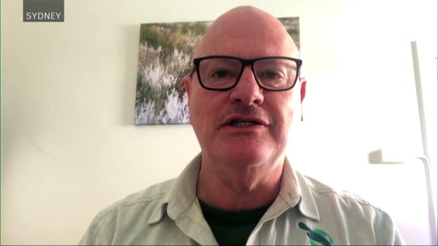 Loggerhead hatchlings released on NSW Central Coast