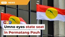 Umno eyes state seat in Permatang Pauh