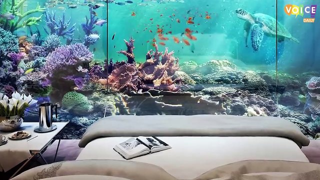 Mega Projects Of Dubai II Under Water Dubai Train II Amazing Facts of Dubai