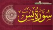 Surah Yaseen |Surah Yasin | سورۃ یس | Muslim Youth Office