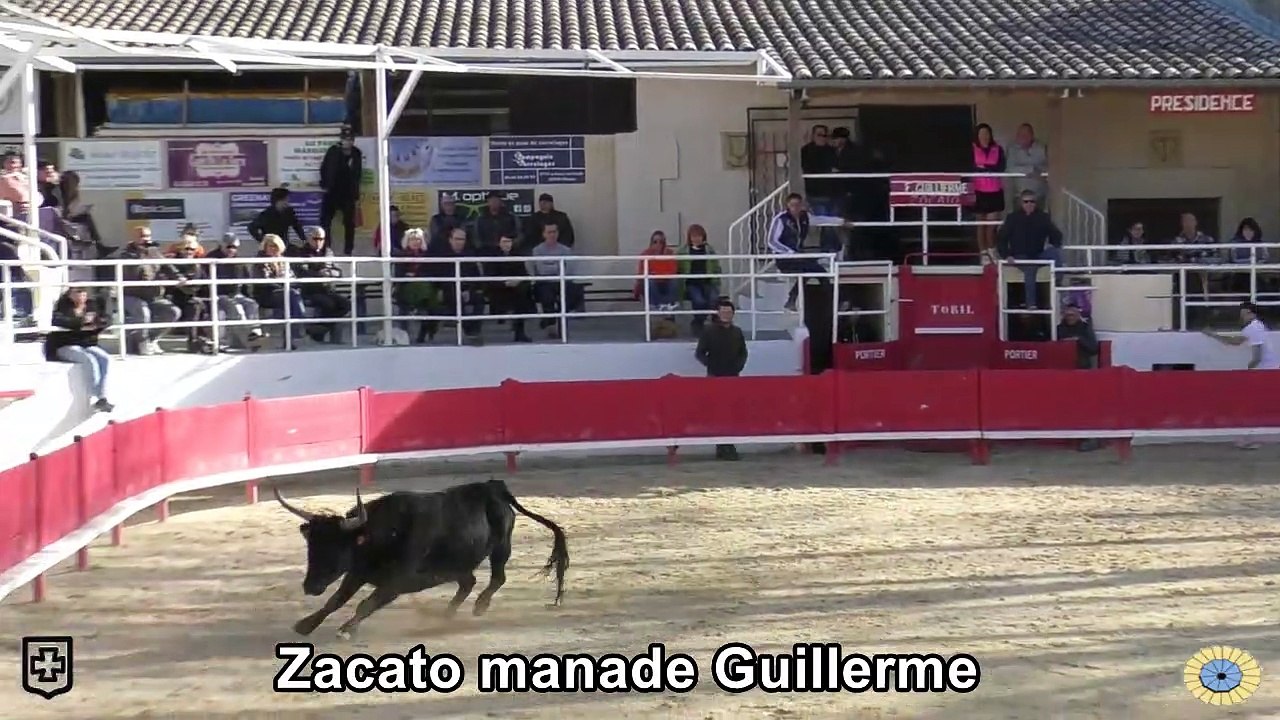 2023 03 26 Zacato
