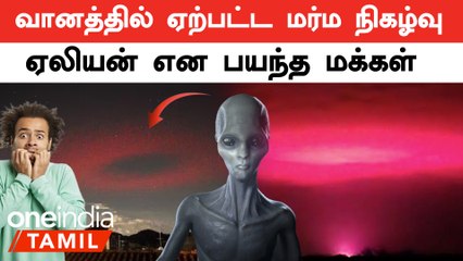 Italy வனத்தில் தோன்றிய மர்ம நிகழ்வால் குழப்பம் அடைந்த மக்கள்