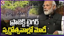 Modi Today_  Modi Jungle Safari  _ Modi Met The Elephant Whisperers Couple | V6 News