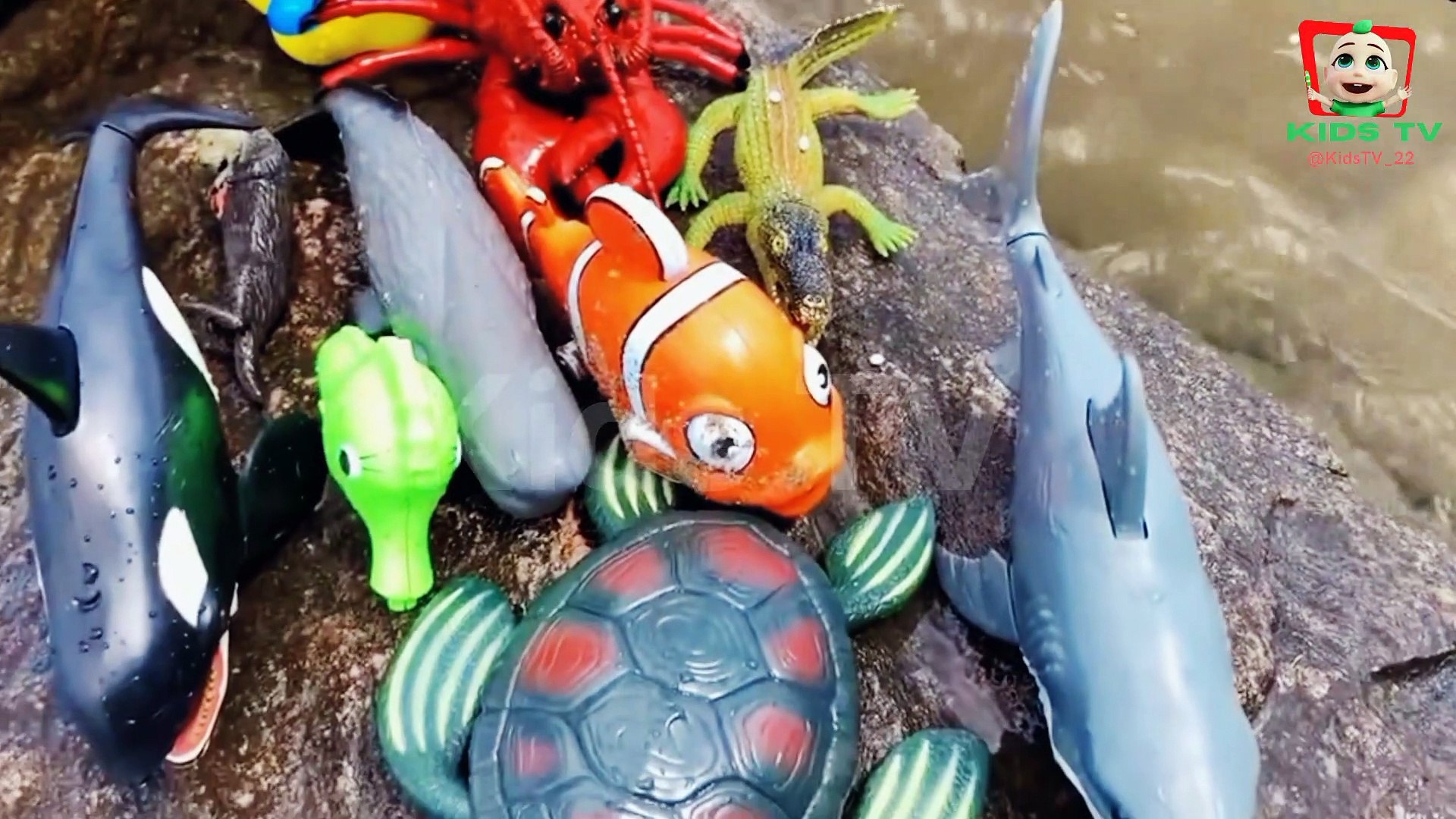 Sea creature hot sale toy videos