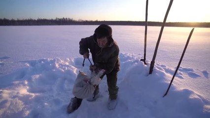 Living Alone in the Wild Siberian Forest for 20 years (-71°C, -96°F) Yakutia
