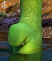 arlo & spot/the good dinosaur/ the kind moments 2023