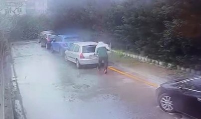Sitedeki kedileri poşetle götüren kişi hakkında suç duyurusu