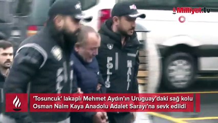 Tosuncuk'un işlerini yürüten Osman Naim Kaya'nın ifadesi ortaya çıktı