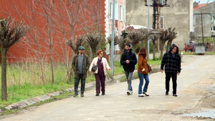 Kaybolan sokak köpekleri için suç duyurusu