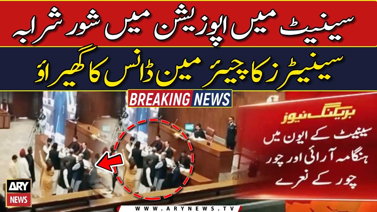 Ruckus in Senate session