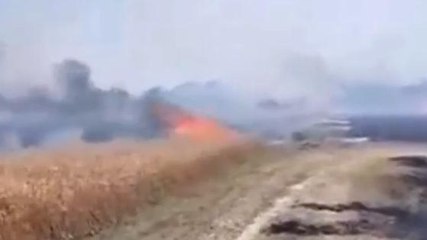 सिद्धार्थनगर: अज्ञात कारणों से गेहूं की फसल में लगी आग