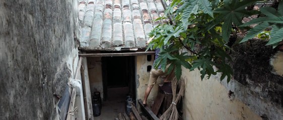 Trailer Đảo Của Dân Ngụ Cư - Mua bản quyền Phim điện ảnh trên Contente.vn
