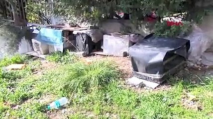 Bağcılar’da sitedeki kedileri poşetle götüren kişi hakkında suç duyurusu