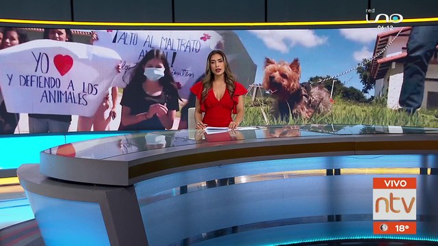 Vecinos denuncian envenenamiento de 7 perros y gatos en condominio del Urubó