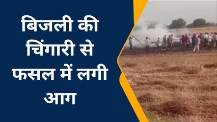 झाँसी: आग ने तबाह की गेहूं की फसल, किसानों का भारी नुकसान
