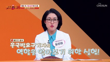 혈관 속 기름 청소기 ⌜홍국발효구기자⌟ 콜레스테롤 조절까지! TV CHOSUN 230410 방송