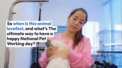 Facts About National burrito day Revealed