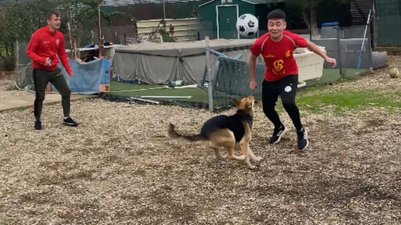 Dog playing Football with humans finally steals...