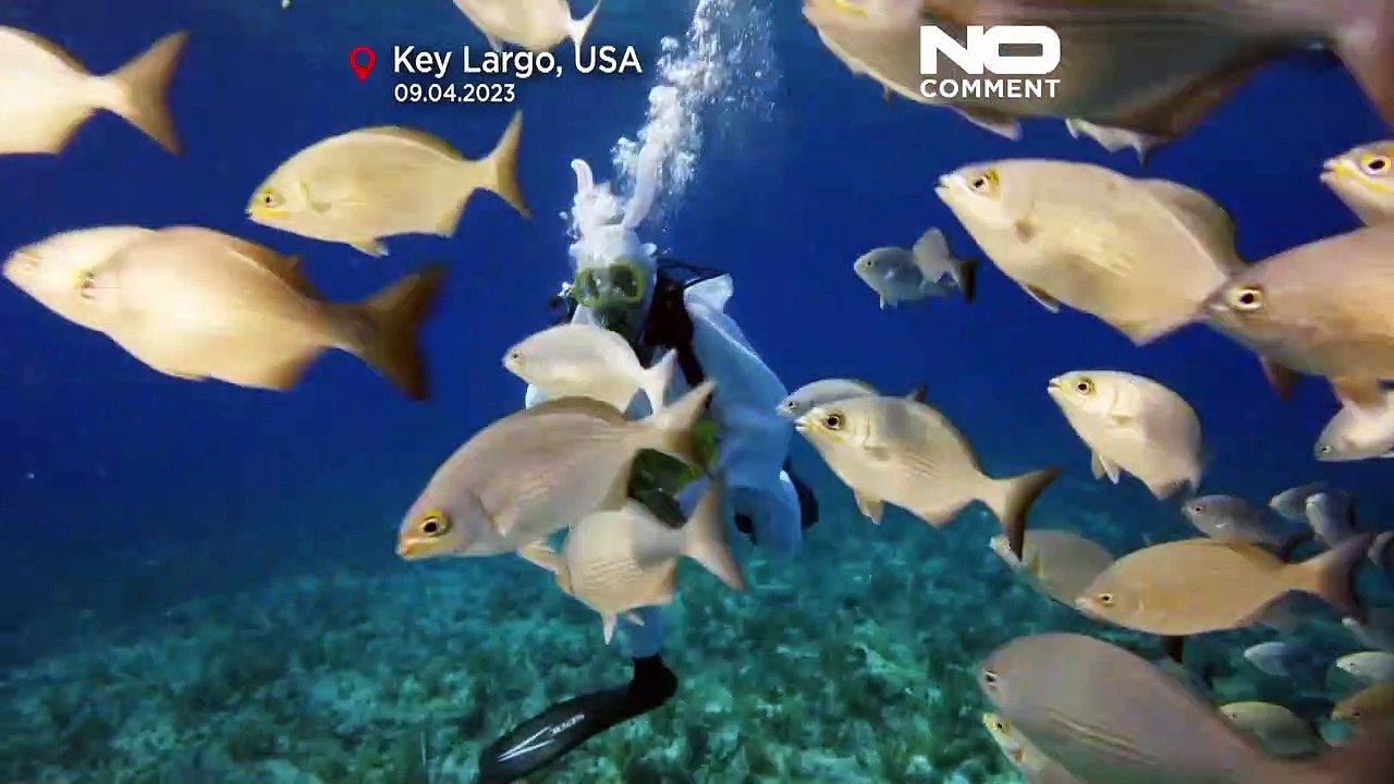 WATCH: Scuba-diving Easter Bunny stages underwater egg hunt