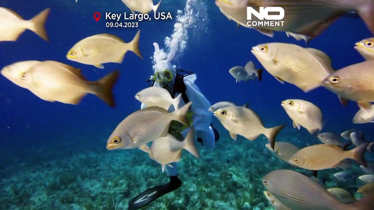 Une chasse aux œufs de Pâques sous-marine ? C'est possible en Floride