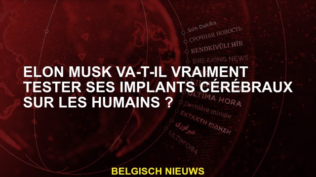 Elon Musk va-t-il vraiment tester ses implants cérébraux sur les humains ?