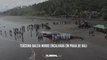 Terceira baleia morre encalhada em praia de Bali