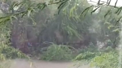 सेंधवा: मौसम में फिर बदलाव, आसमान में छाए बादल हुई बारिश