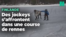 En Finlande, des jockeys s'affrontent dans des courses de rennes