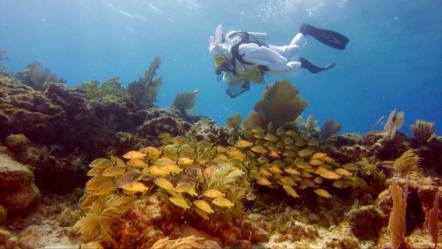 Egg-Splorers Scuba Dive for Easter Eggs in Crystal Clear Waters Surrounding Key Largo, Florida