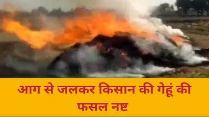 बांदा: गेहूं की फसल में लगी भीषण आग, आग बुझाते समय झुलसा किसान