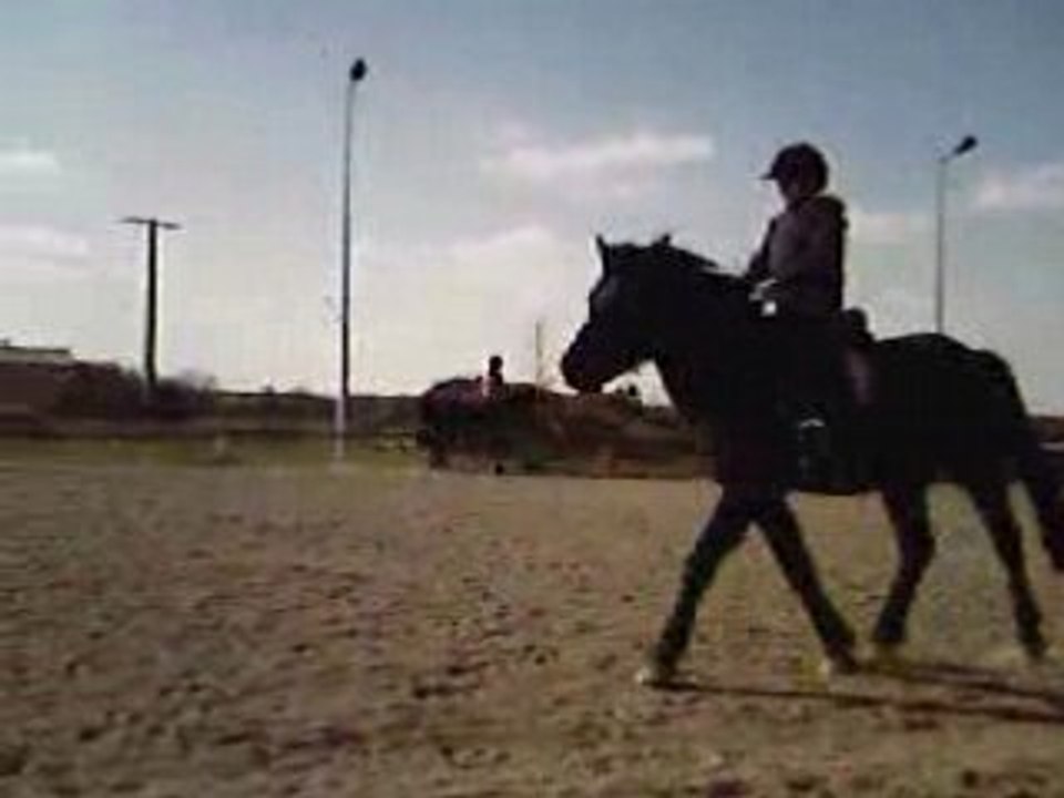 Les chevaux et les cavaliers font ce qu'ils veulent!!!