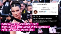 Bella Hadid 'Liked' A Post Discussing Zayn And Selena's Romance?